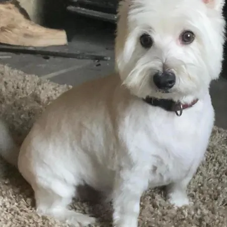 Halmer Grange 고스랜드